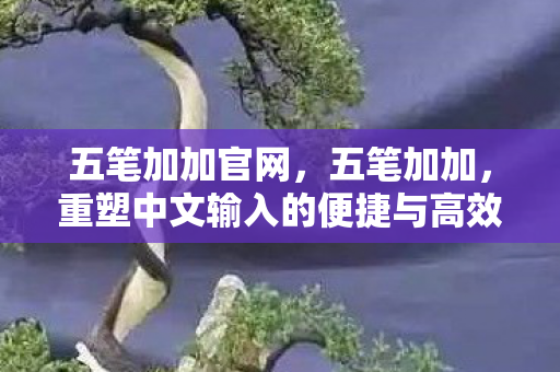 五笔加加官网，五笔加加，重塑中文输入的便捷与高效