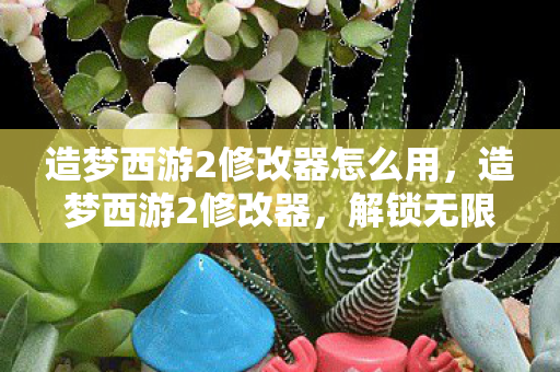造梦西游2修改器怎么用，造梦西游2修改器，解锁无限可能的冒险之旅