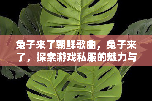 兔子来了朝鲜歌曲，兔子来了，探索游戏私服的魅力与风险