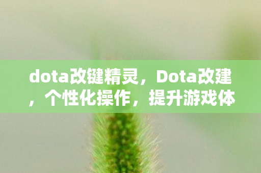 dota改键精灵，Dota改建，个性化操作，提升游戏体验