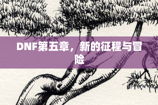 DNF第五章，新的征程与冒险