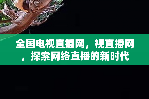 全国电视直播网，视直播网，探索网络直播的新时代