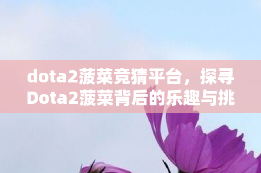 dota2菠菜竞猜平台，探寻Dota2菠菜背后的乐趣与挑战