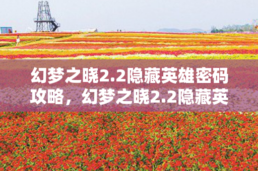 幻梦之晓2.2隐藏英雄密码攻略，幻梦之晓2.2隐藏英雄密码揭秘，解锁传奇之旅的密钥