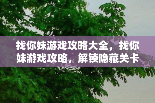 找你妹游戏攻略大全，找你妹游戏攻略，解锁隐藏关卡与高效找茬技巧