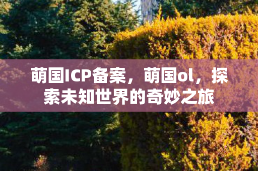 萌国ICP备案，萌国ol，探索未知世界的奇妙之旅