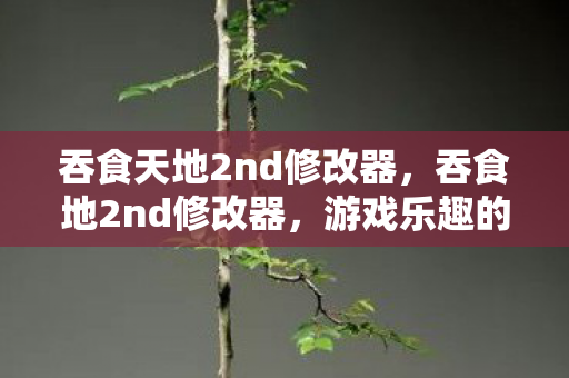 吞食天地2nd修改器，吞食地2nd修改器，游戏乐趣的无限延伸