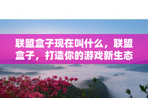 联盟盒子现在叫什么，联盟盒子，打造你的游戏新生态