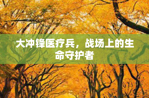 大冲锋医疗兵，战场上的生命守护者