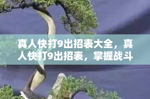 真人快打9出招表大全，真人快打9出招表，掌握战斗艺术的关键