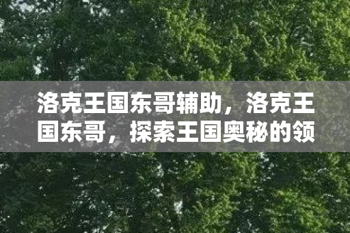 洛克王国东哥辅助，洛克王国东哥，探索王国奥秘的领航者