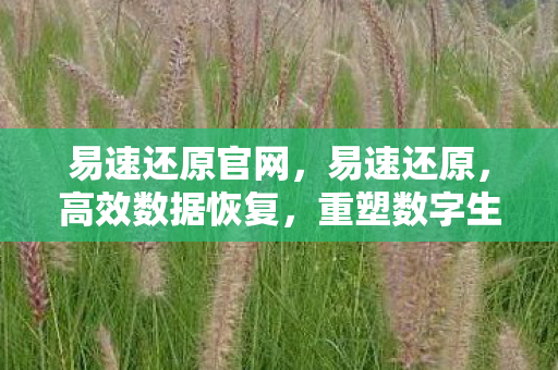 易速还原官网，易速还原，高效数据恢复，重塑数字生活新体验