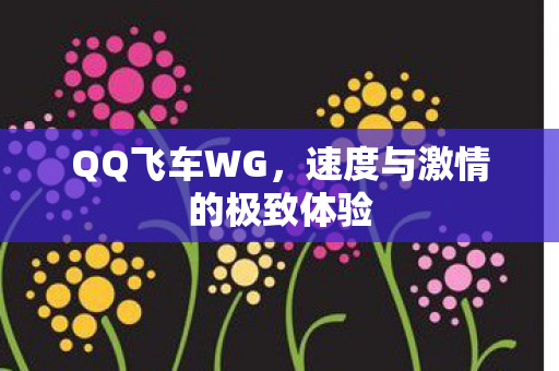 QQ飞车WG，速度与激情的极致体验
