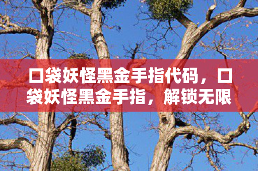 口袋妖怪黑金手指代码，口袋妖怪黑金手指，解锁无限可能的神奇工具