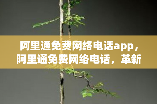 阿里通免费网络电话app，阿里通免费网络电话，革新通信方式，开启免费通话新时代
