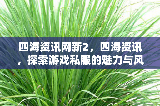 四海资讯网新2，四海资讯，探索游戏私服的魅力与风险