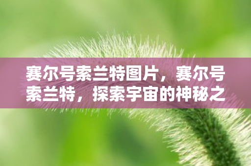 赛尔号索兰特图片，赛尔号索兰特，探索宇宙的神秘之旅