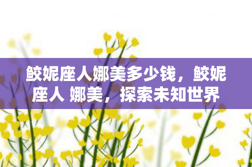 鲛妮座人娜美多少钱，鲛妮座人 娜美，探索未知世界的神秘之旅