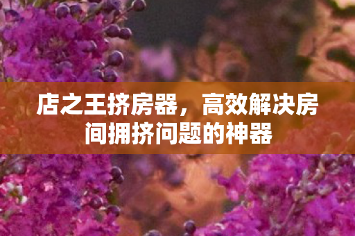 店之王挤房器，高效解决房间拥挤问题的神器