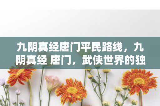 九阴真经唐门平民路线，九阴真经 唐门，武侠世界的独特门派