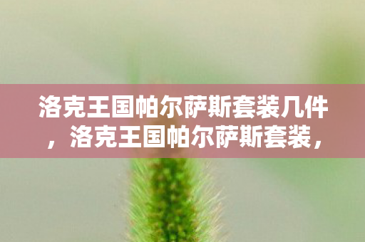 洛克王国帕尔萨斯套装几件，洛克王国帕尔萨斯套装，传奇装备的魅力与探索