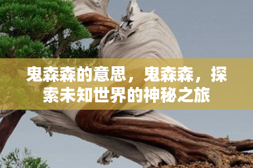 鬼森森的意思，鬼森森，探索未知世界的神秘之旅