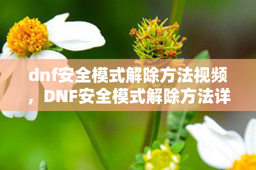 dnf安全模式解除方法视频，DNF安全模式解除方法详解