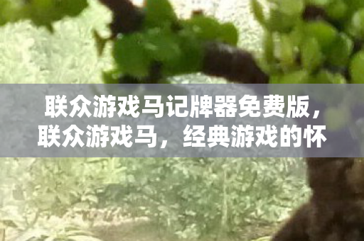 联众游戏马记牌器免费版，联众游戏马，经典游戏的怀旧之旅