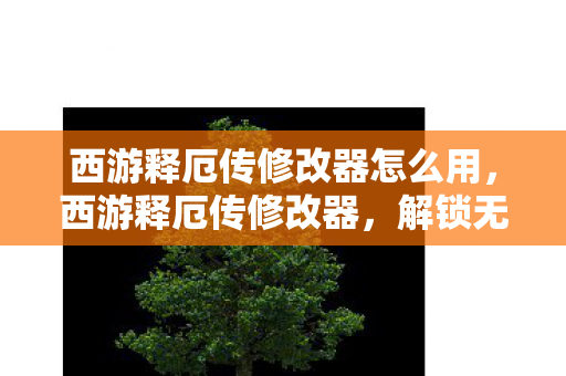 西游释厄传修改器怎么用，西游释厄传修改器，解锁无限可能的冒险之旅