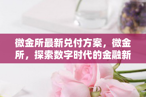 微金所最新兑付方案，微金所，探索数字时代的金融新生态