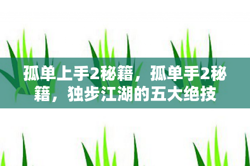 孤单上手2秘籍，孤单手2秘籍，独步江湖的五大绝技