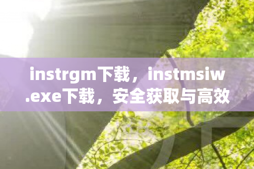 instrgm下载，instmsiw.exe下载，安全获取与高效使用的全面指南