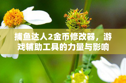 捕鱼达人2金币修改器，游戏辅助工具的力量与影响
