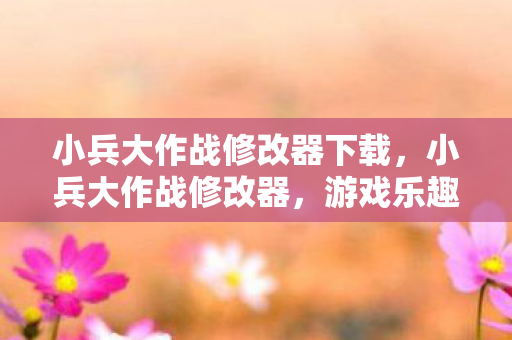 小兵大作战修改器下载，小兵大作战修改器，游戏乐趣的无限延伸