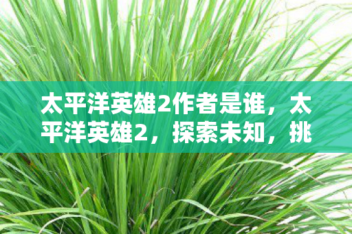 太平洋英雄2作者是谁，太平洋英雄2，探索未知，挑战极限