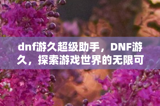 dnf游久超级助手，DNF游久，探索游戏世界的无限可能