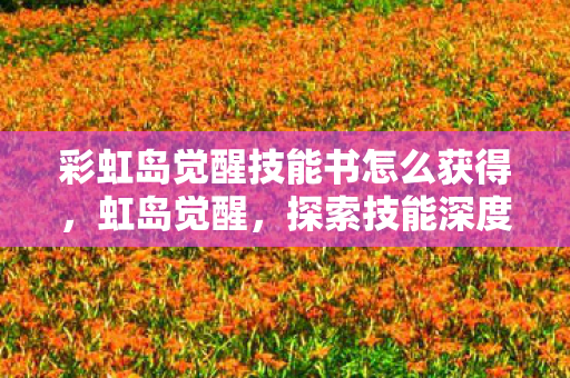 彩虹岛觉醒技能书怎么获得，虹岛觉醒，探索技能深度解析与实战应用