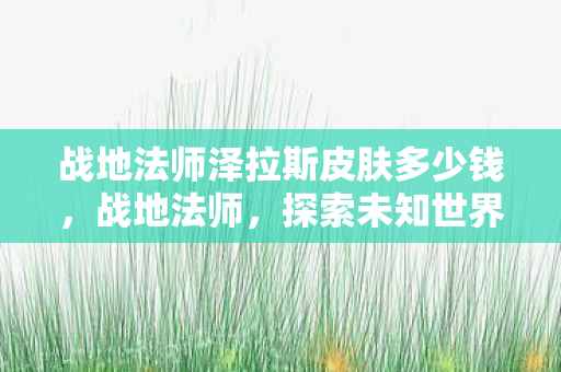 战地法师泽拉斯皮肤多少钱，战地法师，探索未知世界的魔法之旅