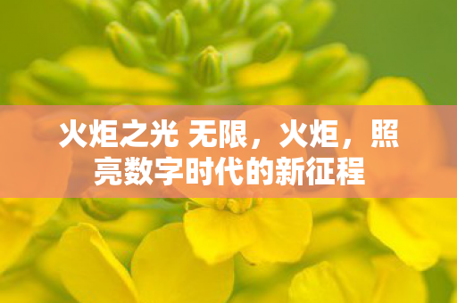 火炬之光 无限，火炬，照亮数字时代的新征程