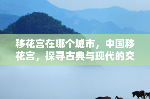 移花宫在哪个城市，中国移花宫，探寻古典与现代的交融之美