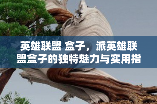 英雄联盟 盒子，派英雄联盟盒子的独特魅力与实用指南