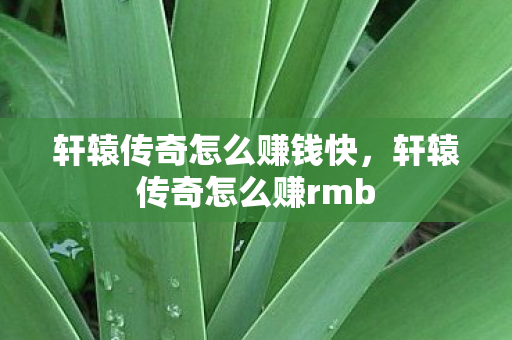 轩辕传奇怎么赚钱快，轩辕传奇怎么赚rmb