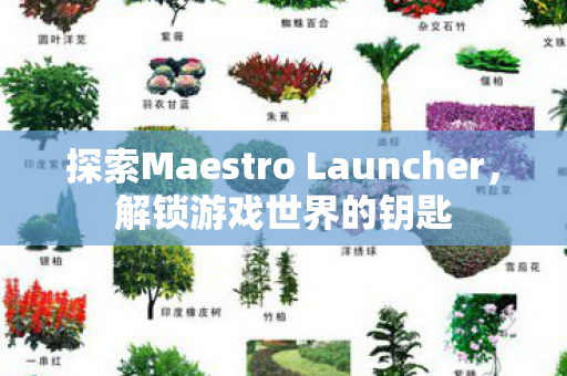 探索Maestro Launcher，解锁游戏世界的钥匙