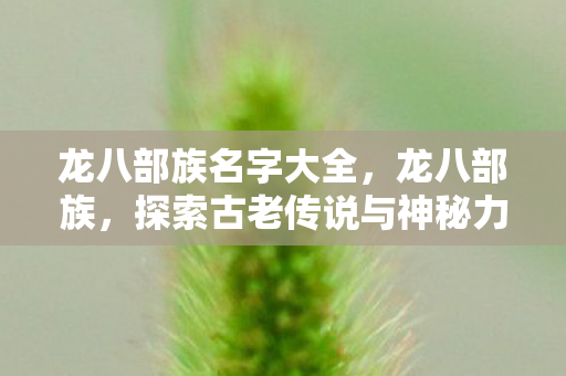 龙八部族名字大全，龙八部族，探索古老传说与神秘力量的奇幻之旅