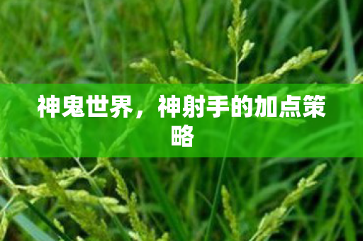 神鬼世界，神射手的加点策略