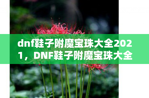 dnf鞋子附魔宝珠大全2021，DNF鞋子附魔宝珠大全，提升战斗力的关键一步