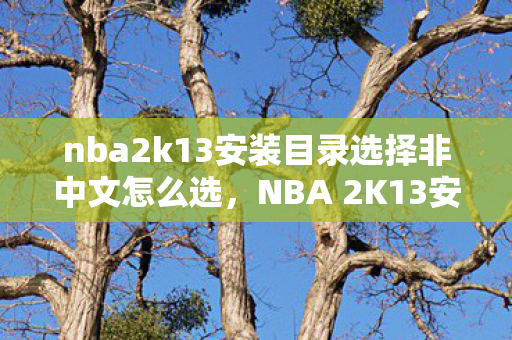 nba2k13安装目录选择非中文怎么选，NBA 2K13安装指南，轻松解决安装难题