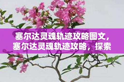 塞尔达灵魂轨迹攻略图文，塞尔达灵魂轨迹攻略，探索未知世界的奇妙之旅