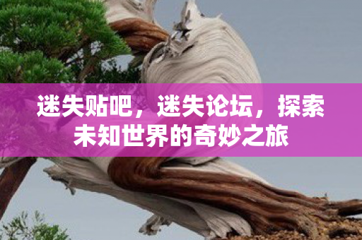 迷失贴吧，迷失论坛，探索未知世界的奇妙之旅