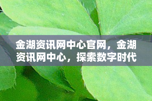 金湖资讯网中心官网，金湖资讯网中心，探索数字时代的创新与发展